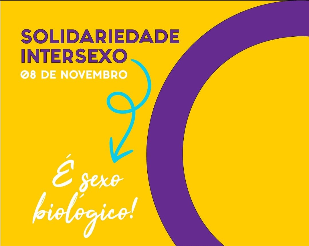 Imagem Novembro